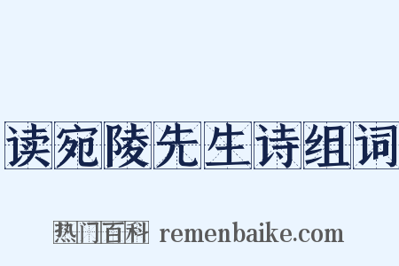 读宛陵先生诗组词是什么意思的图片